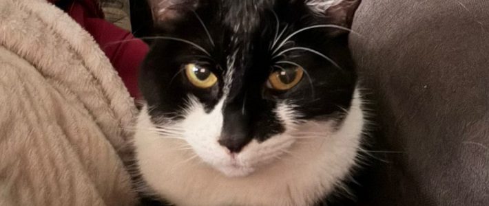 Emily, freiheitsliebende Einzelgängerin, 7 Jahre Emily, freiheitsliebende Einzelgängerin, 7 Jahre